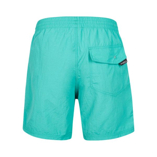 O'neill Vert Swim Shorts
