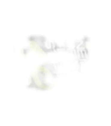 Neilpryde SPX 90 RDM