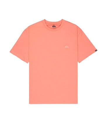 Quiksilver SALT WATER