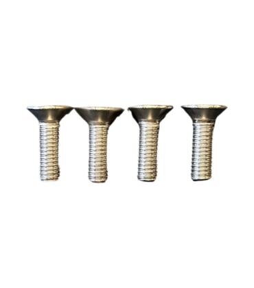 Telstar surf RVS M8 TORX TX45 4st.